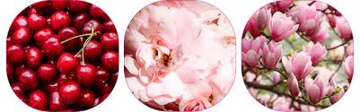 EAU DE PARFUM BIO & VEGAN HARMONY FLEUR DE CERISIER 50ml - BE POSITIVE BY ACOREL – Image 3