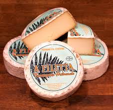 TOMME DE CHEVRE CORSE - A FILETTA – Image 2