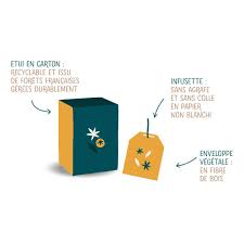 TISANE A LA BELLE ETOILE BIO & COMMERCE EQUITABLE X 20 INFUSETTES - BIOHÊME – Image 2
