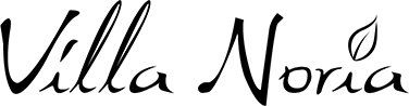 LEVIN SANS ALCOOL ROSE 0% SYRAH BIO & VEGAN 75cl - VILLA NORIA – Image 3