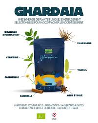 INFUSION GHARDAIA BIO 50g - VOYAGE TEA – Image 3