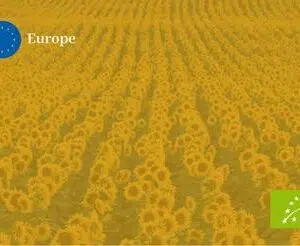 HUILE DE TOURNESOL VIERGE FRANCAISE BIOLOGIQUE - LE TEMPS DES OLIVIERS