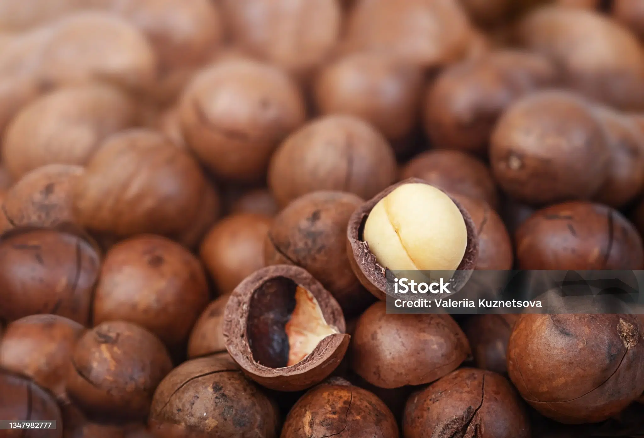 NOIX DE MACADAMIA AB & COMMERCE EQUITABLE - BASE ORGANIC FOOD – Image 2
