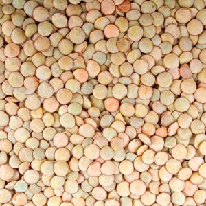 LENTILLES BLONDES BIO - NATUR'AVENIR