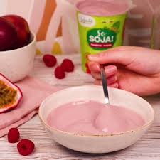 SO SOJA FRAMBOISE PASSION AB 400G - SOJADE – Image 2