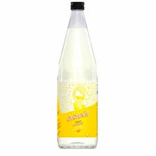 TONIC Mr GASTON'IC AGRUMES BIO 20cl - TESSENDIER & FILS